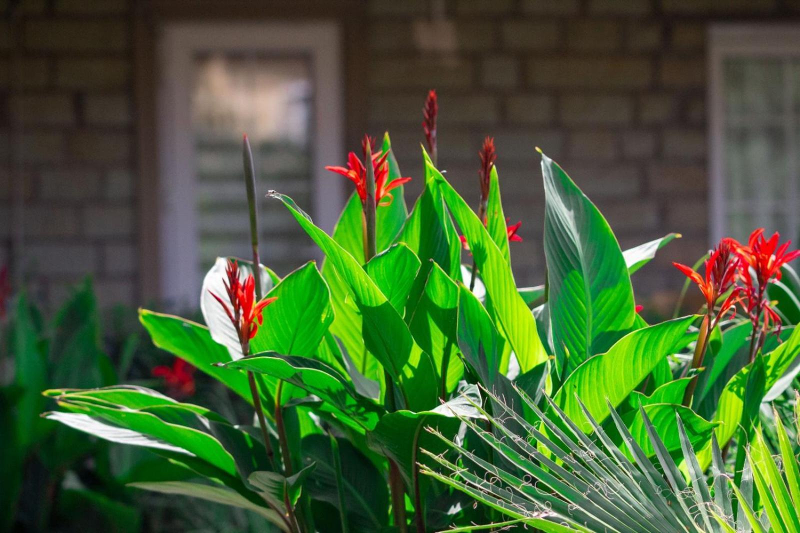 Готель Kampues Garden Фетхіє Екстер'єр фото